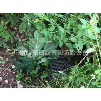 從化上門驅(qū)蛇防蛇