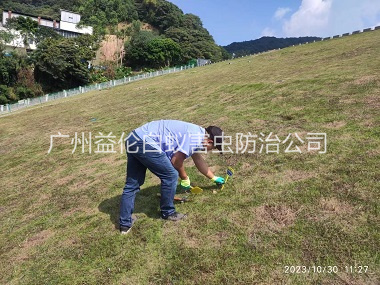 廣州水利白蟻防治工程