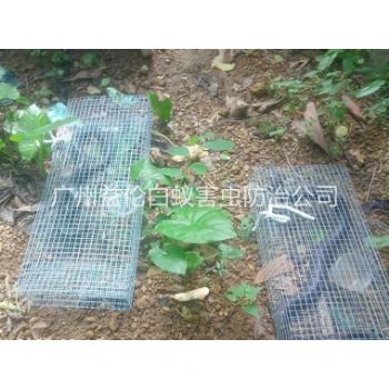 海珠上門(mén)驅(qū)蛇防蛇工程